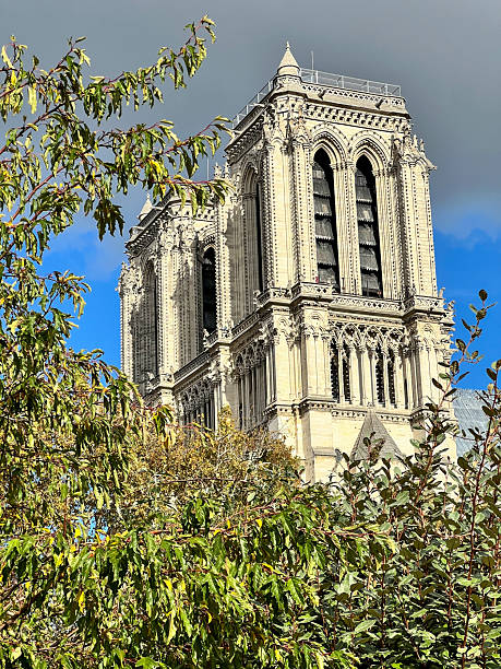 istock Notre dame cathedral gothic architecture detail framed by leaves 2246209234