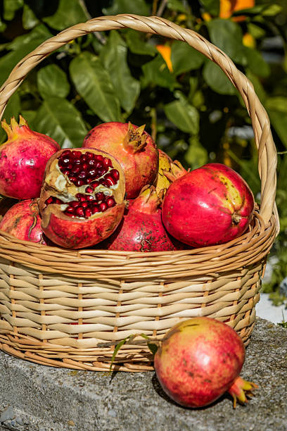 istock Pomegranates in basket with one fruit outside 2246210150