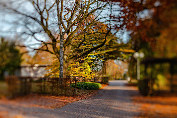 istock Fall trees landscape in vibrant colors 2246211010