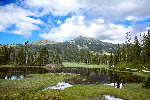 istock Mount Washington viewed from Strathcona Provincial Park 2246212314