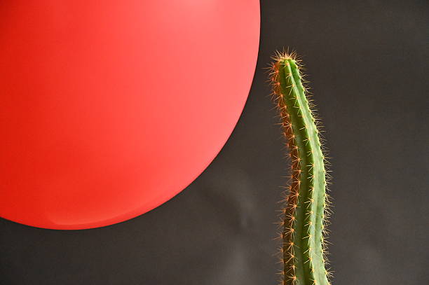 istock The balloon and cactus needles risk bursting. 2246218484