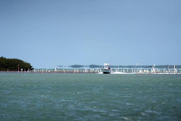 Boats, Boat lifts, mangroves, docks, yachts and amazing sites at Florida Keys Boat Marinas.