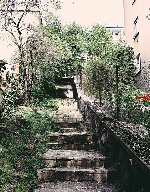 Dreamy summery stairs in Prague 8