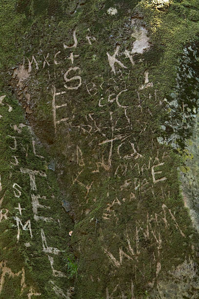 istock Rock surface scratched with initials and letters, covered in moss 2246223955