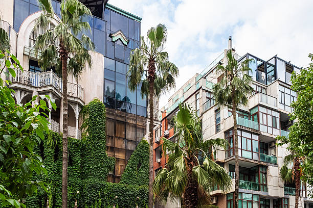 istock palm trees and modern apartment building in Batumi 2246225625
