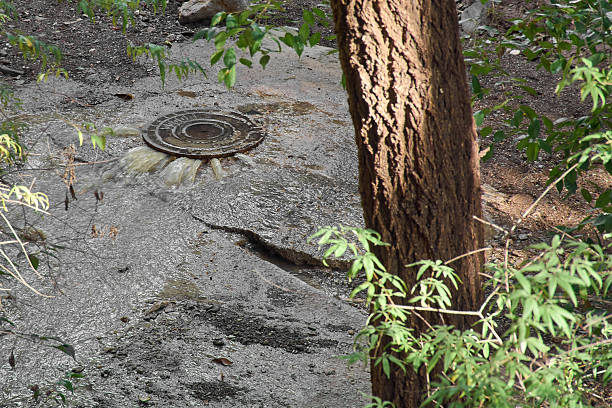 A manhole cover overflows with contaminated water onto rocky forest ground. Concept of environmental pollution, sanitation system failure, and aging infrastructure problems.