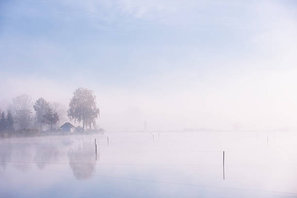istock Misty Morning on the Lake with Distant Trees 2246227476