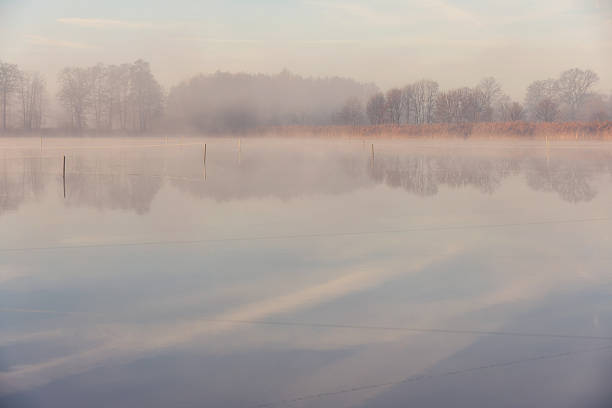 istock Misty Morning on the Lake with Distant Trees 2246227605