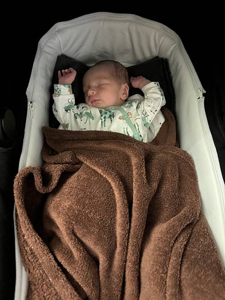 istock Sleeping newborn in bassinet with brown blanket 2246230707