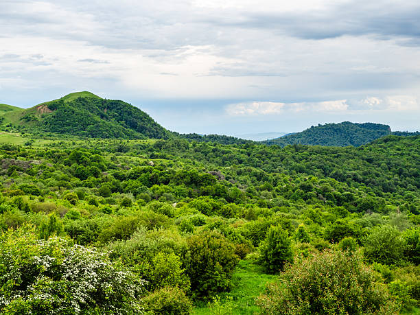 istock overgrown meadow at Gombori Mountain pass, Kakheti 2246232579