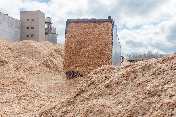 istock A wood raw material warehouse for paper production. 2246232841