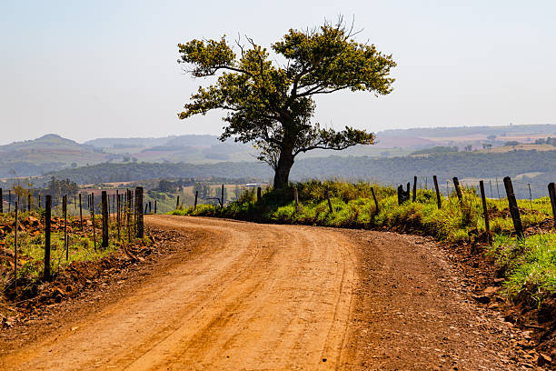 A scenic dirt road curves gently through a peaceful rural landscape, flanked by wooden fence posts and lush green grass. A solitary tree stands prominently on the hillside, overlooking rolling hills and distant fields under a clear sky. Perfect for themes of travel, journey, nature, tranquility, and countryside beauty.