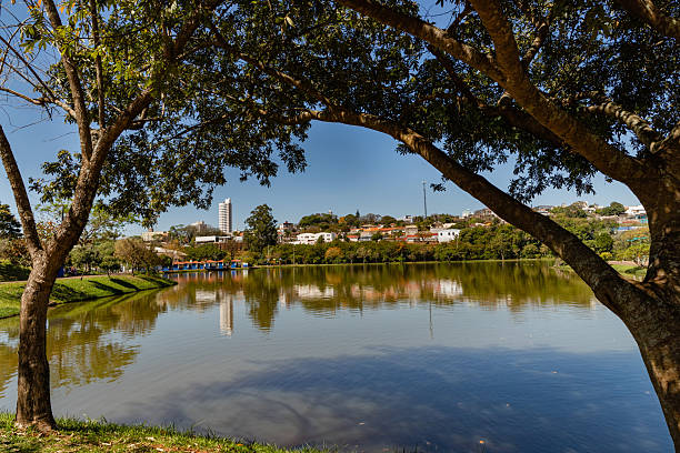 istock Tranquil Lake in Urban Park Framed by Tree Branches Under Clear Blue Sky 2246233629