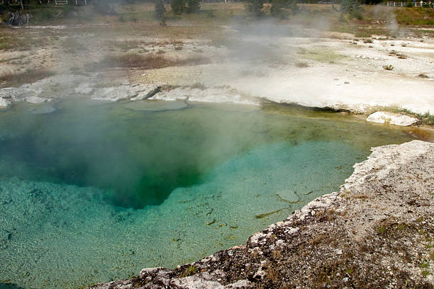istock Yellowstone National Park in July 2246234630