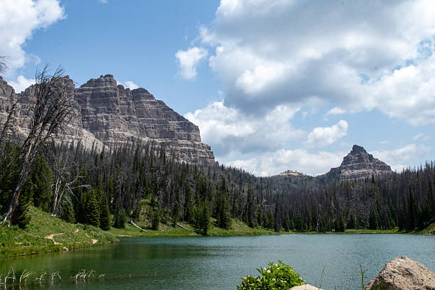 istock Wyoming wilderness during the summer 2246234718