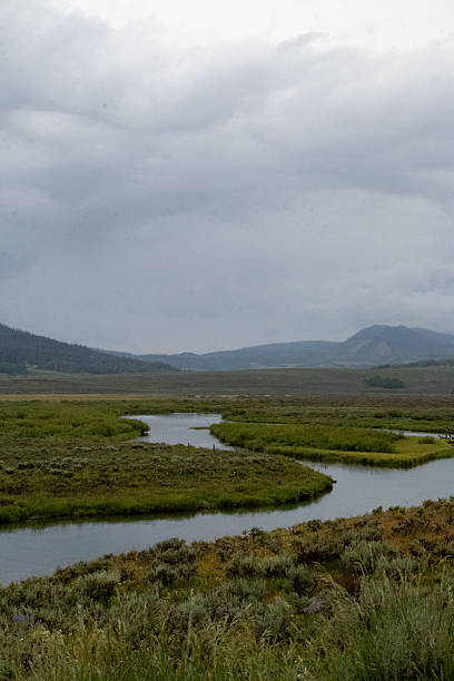 istock West Wyoming Wilderness in July 2246235006