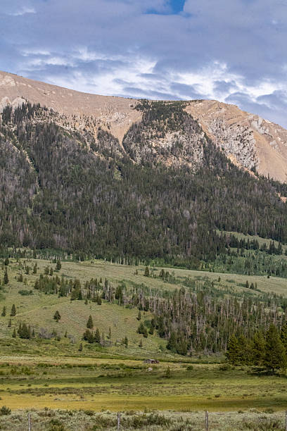istock West Wyoming Wilderness in July 2246235027