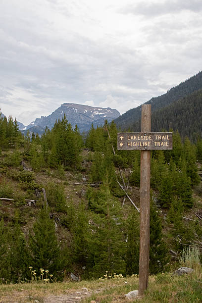 istock West Wyoming Wilderness in July 2246235041