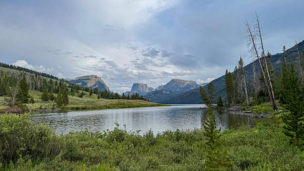 istock West Wyoming Wilderness in July 2246235058