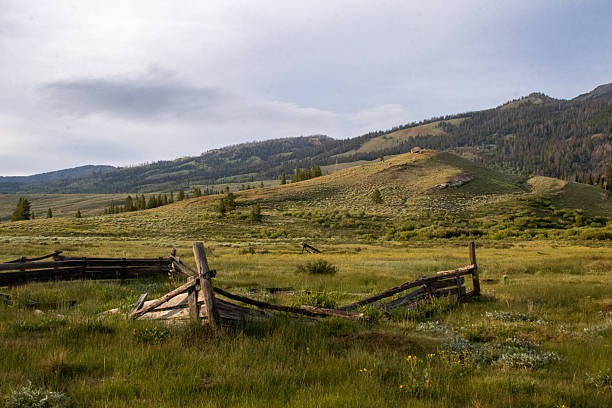 istock West Wyoming Wilderness in July 2246235089