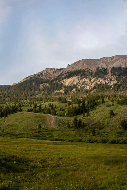 West Wyoming Wilderness in July