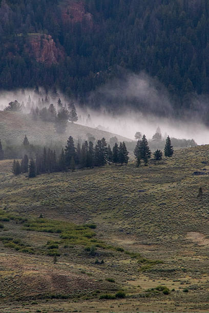 istock West Wyoming Wilderness in July 2246235150