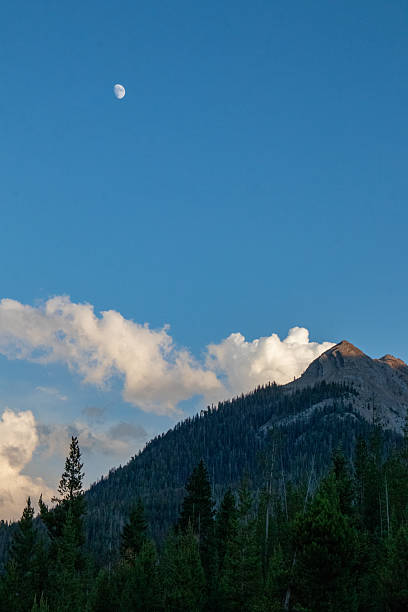 istock West Wyoming Wilderness in July 2246235189