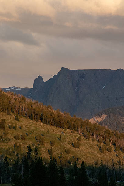 istock West Wyoming Wilderness in July 2246235201