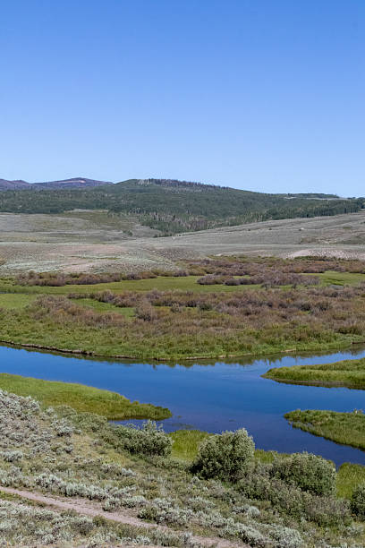 istock West Wyoming Wilderness in July 2246235253