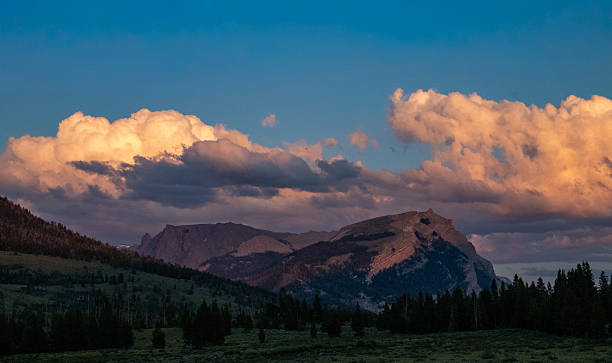 istock West Wyoming Wilderness in July 2246235270