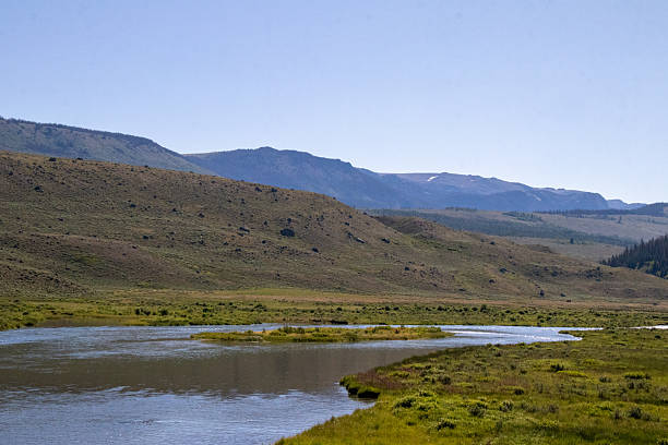 istock West Wyoming Wilderness in July 2246235274