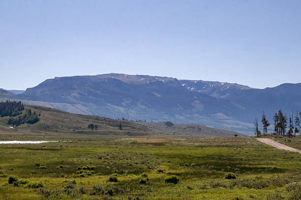 istock West Wyoming Wilderness in July 2246235309