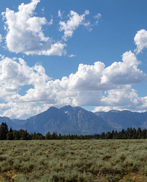 istock Grand Teton National Park in July 2246235825