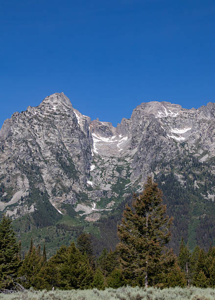 istock Grand Teton National Park in July 2246235951