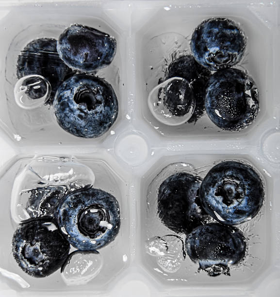 Blueberry frozen in ice cubes