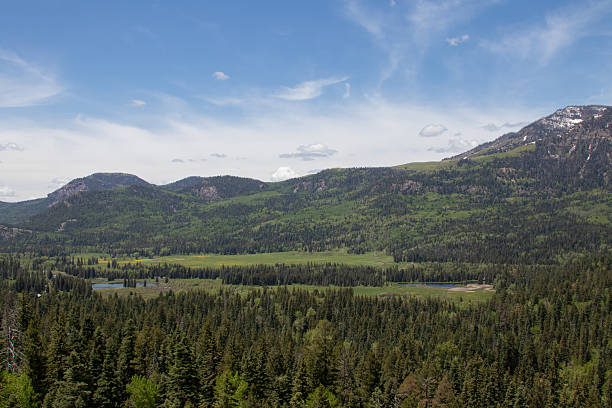 istock Southern Colorado Mountains 2246237393