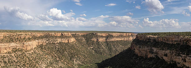istock Mesa Verde National Park, Colorado in June 2246237482