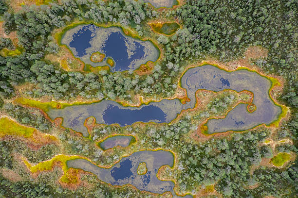 istock A marsh in Estonia seen from above 2246237964