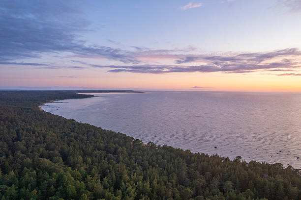 istock Estonian Baltic sea coast 2246239850