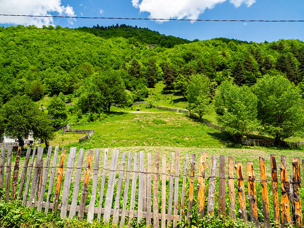istock green orchards on mountain slope in Svaneti 2246240089