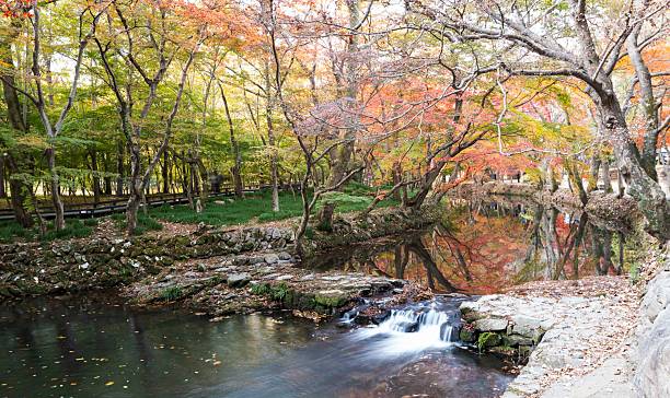 istock Autumn leaves reflected in the stream of Sansa 2246241194