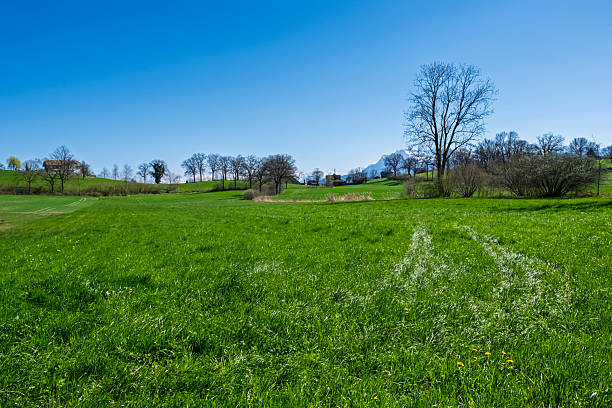 View of the green landscape near Oberhenneborn in the Sauerland.