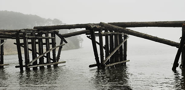 Old ruined wooden bridge above river water, forest on coast and mist background