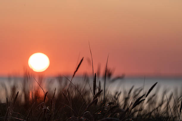 istock Panorama of a deep red sunset at the sea 2246244443
