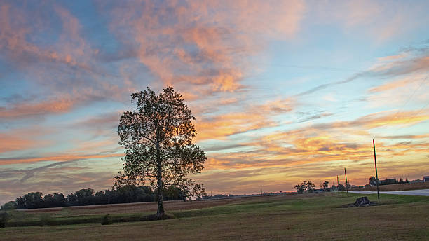 istock Farm Field Sunrise with single Elm Tree-Howard County, Indiana 2246244630