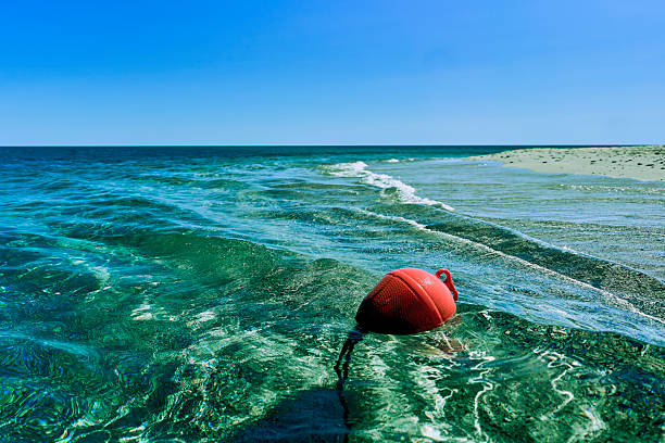 A vibrant red buoy floats on clear turquoise ocean water under a bright blue sky near a sandy beach.