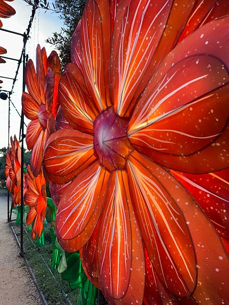 istock Display of oversized fabric flowers 2246245153