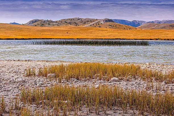 istock Serene landscape presenting a lake with reeds, dry shoreline, and distant hills under a cloudy sky, showcasing autumn nature 2246254271