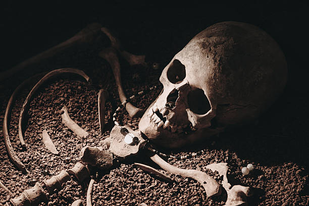istock Spooky human skeleton resting in grave like display, highlighting death, history, and archaeological findings for scientific study 2246254273