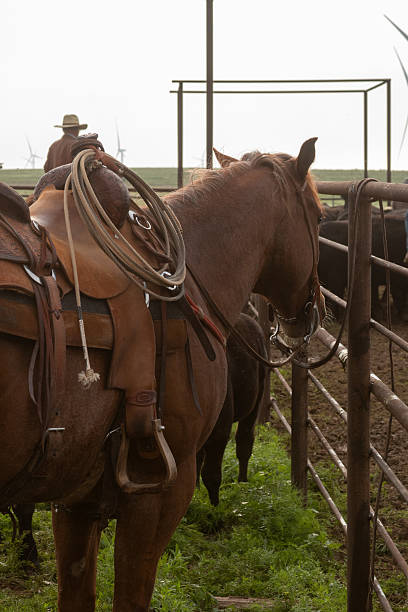 istock Cowboy Culture 2246257900